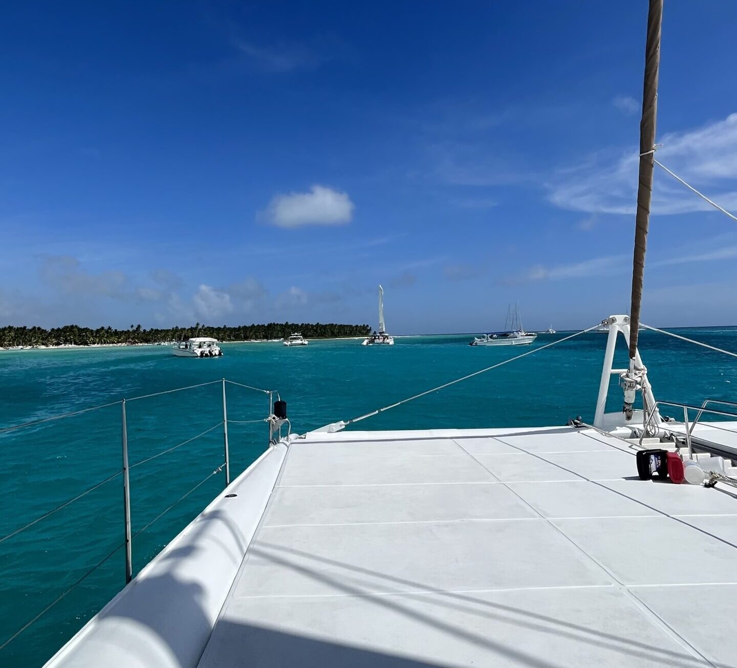 hernan couste en la isla saona